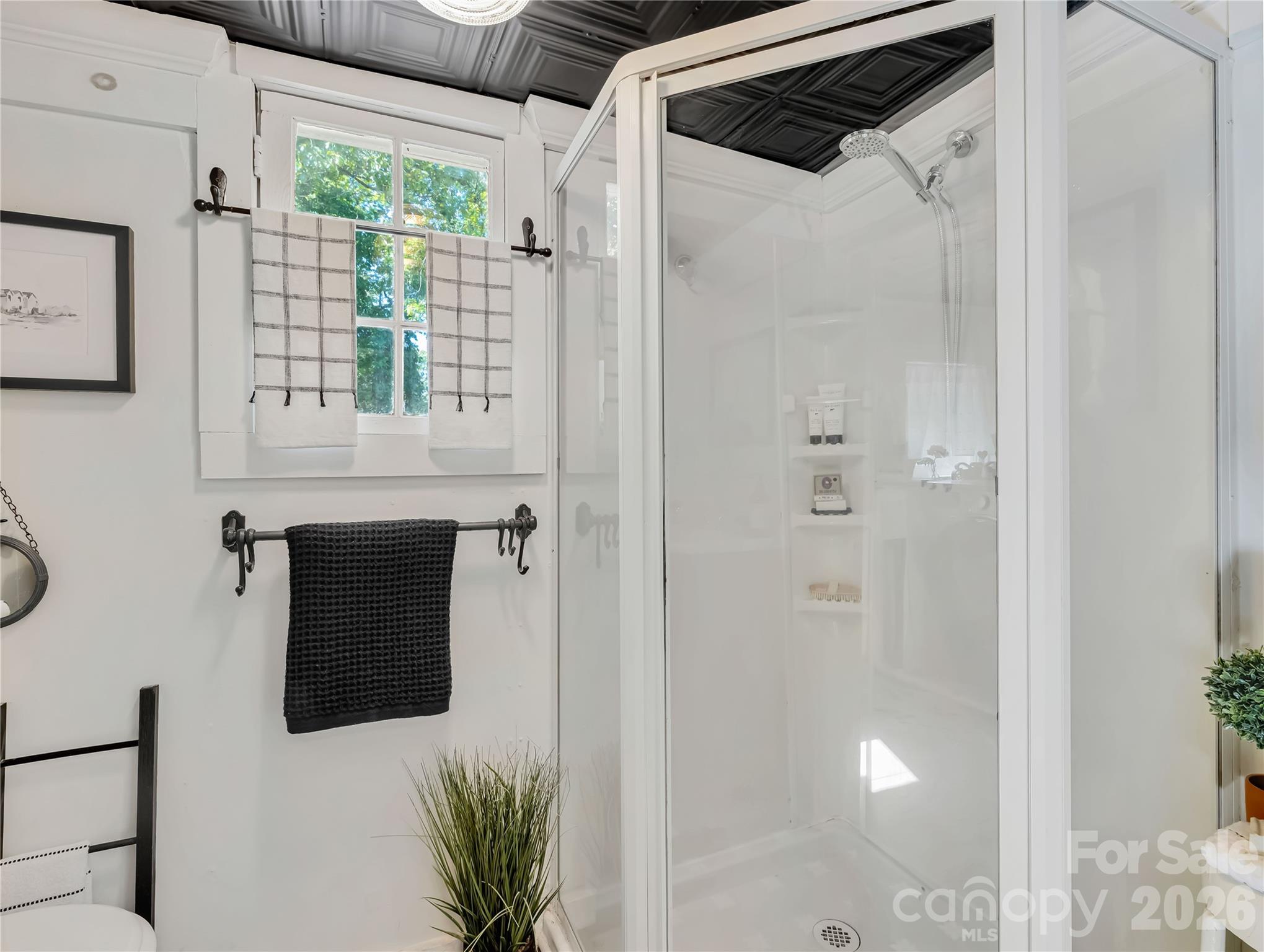 289 Carson Street Tryon NC 28782