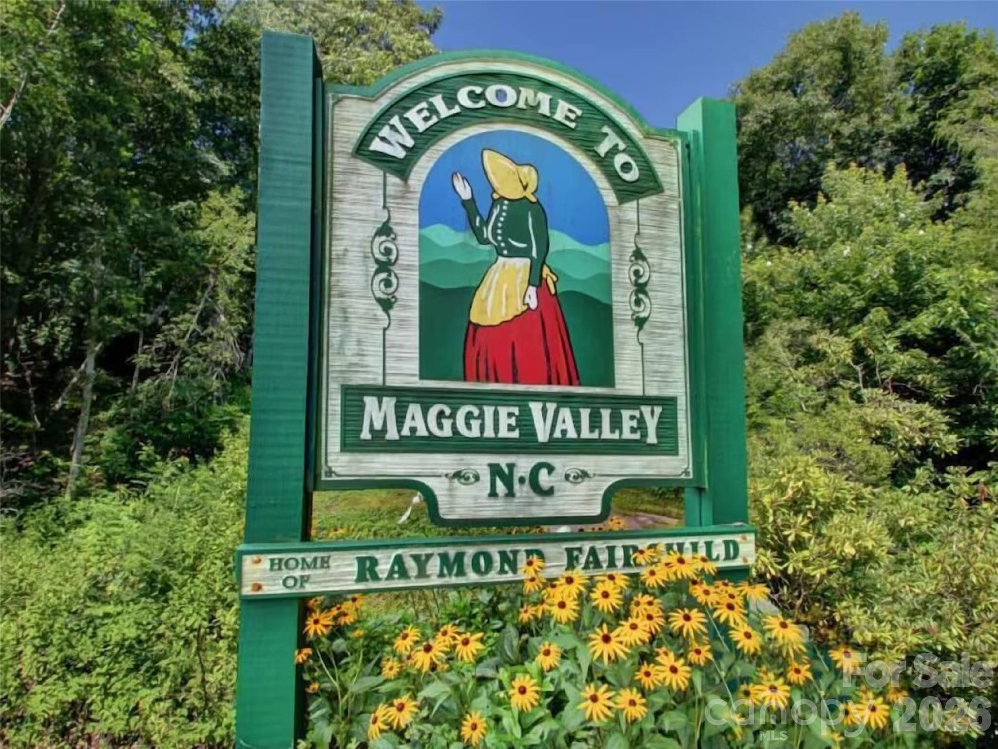 505 Middle Top Loop Maggie Valley NC 28751