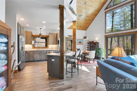 70 Unvdatlvi Court Brevard NC 28712