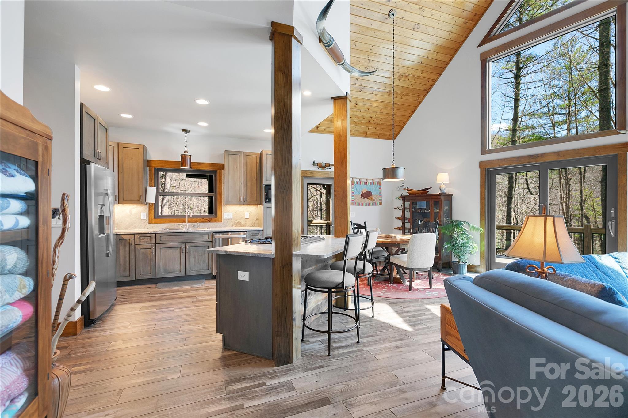70 Unvdatlvi Court Brevard NC 28712