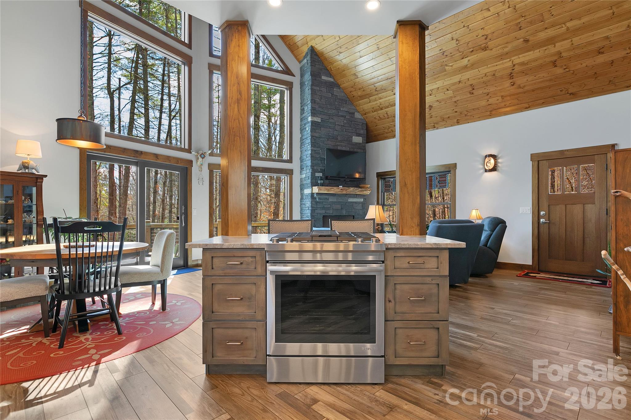 70 Unvdatlvi Court Brevard NC 28712