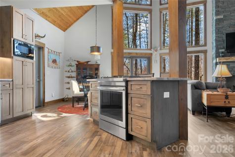 70 Unvdatlvi Court Brevard NC 28712