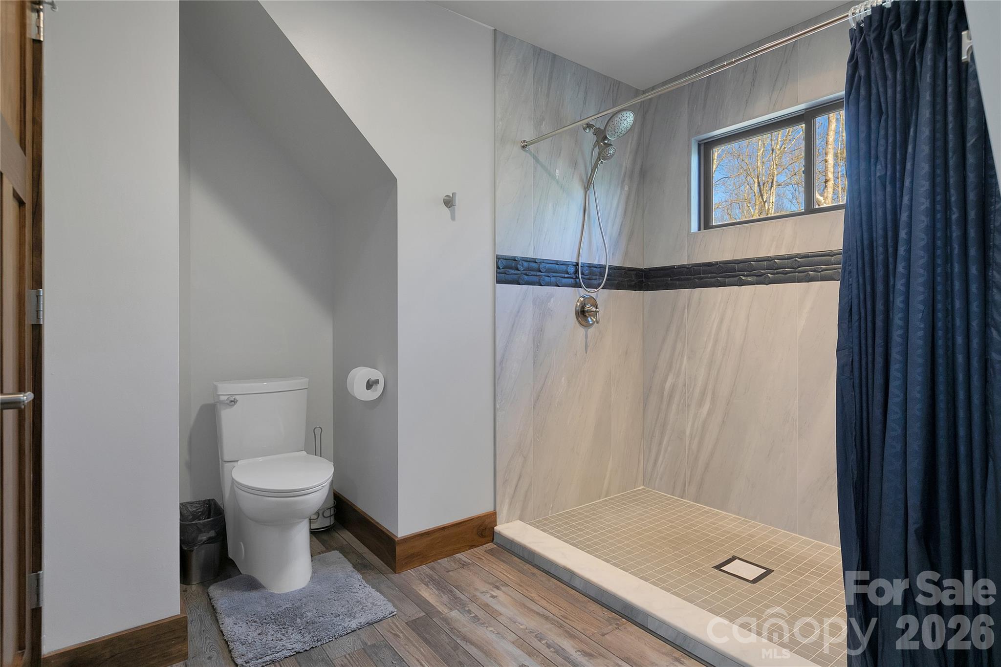 70 Unvdatlvi Court Brevard NC 28712