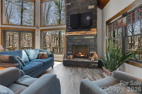 70 Unvdatlvi Court Brevard NC 28712