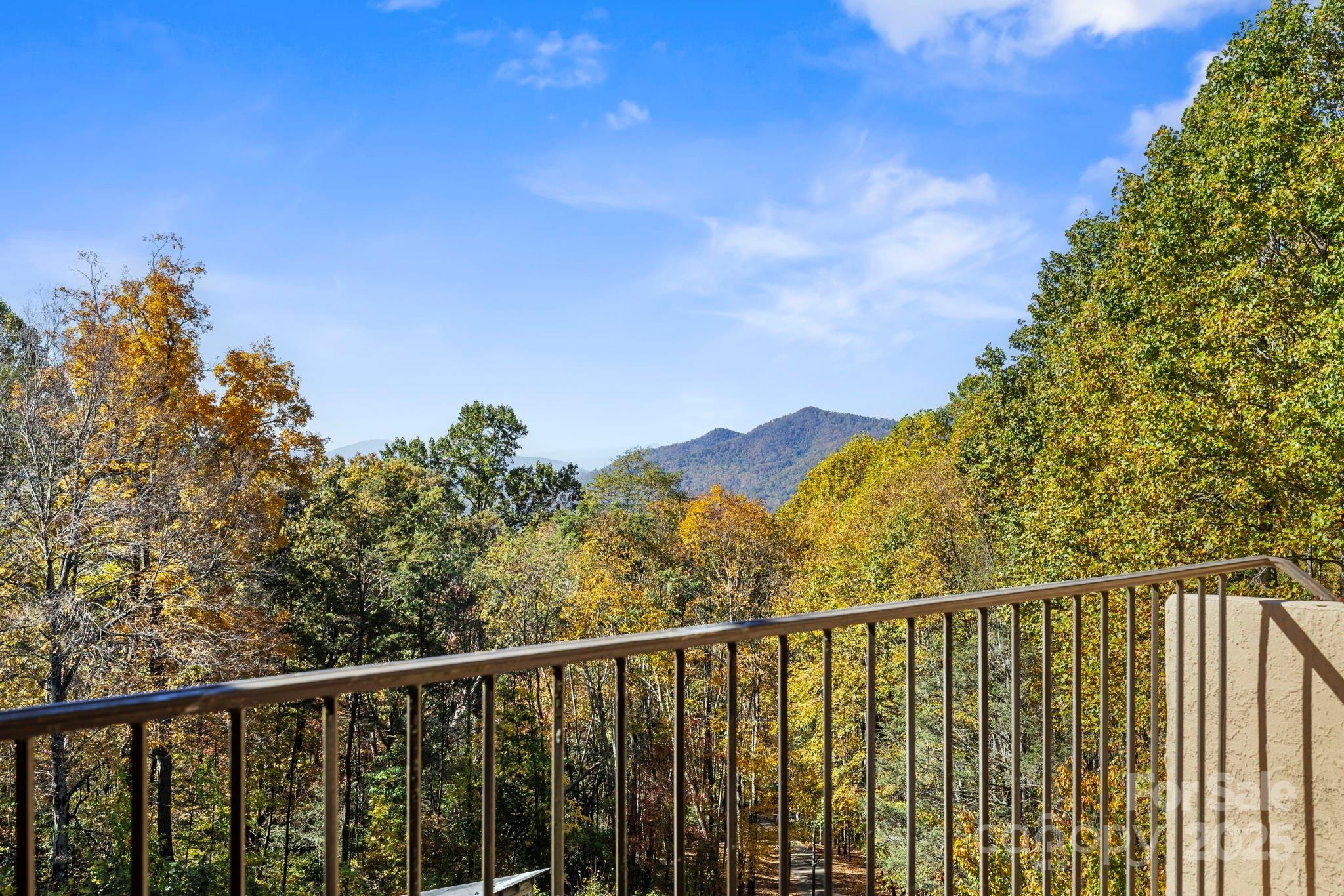 96 & 97 Old Cove Road Black Mountain NC 28711