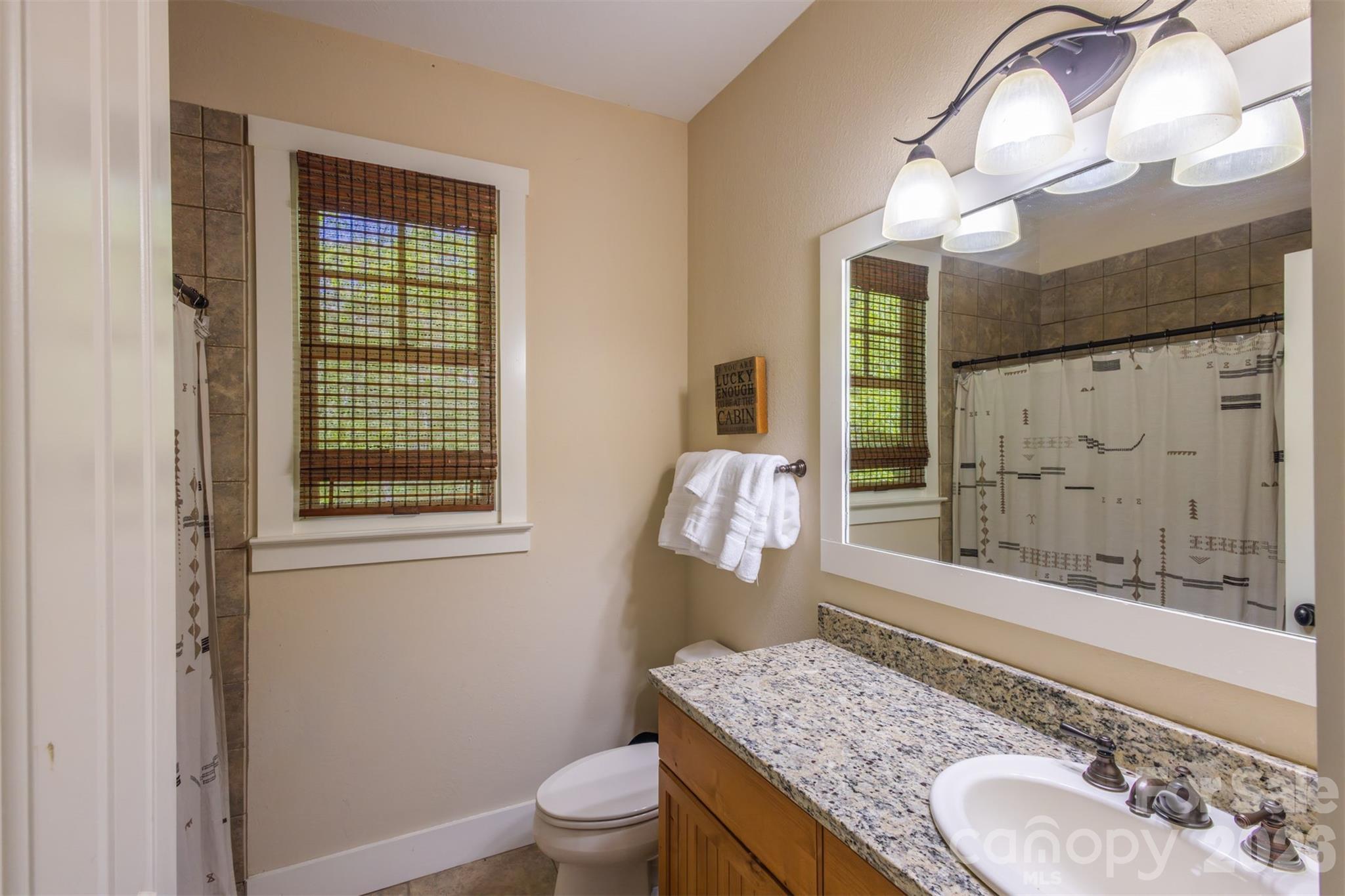 83 Allspice Court Tuckasegee NC 28783