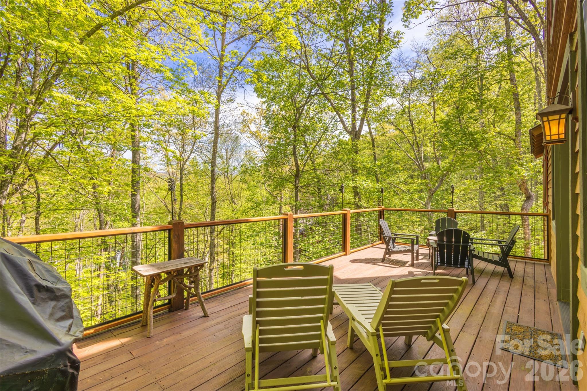 83 Allspice Court Tuckasegee NC 28783