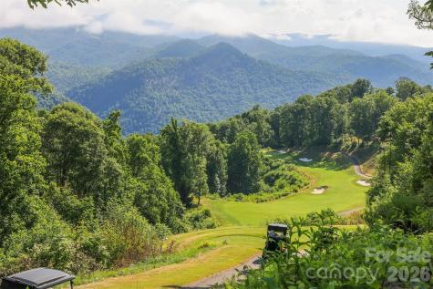 83 Allspice Court Tuckasegee NC 28783