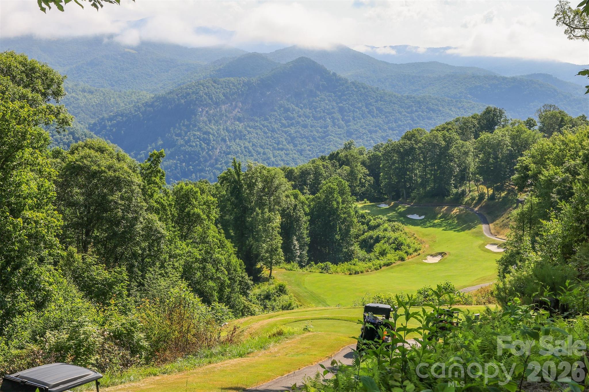 83 Allspice Court Tuckasegee NC 28783