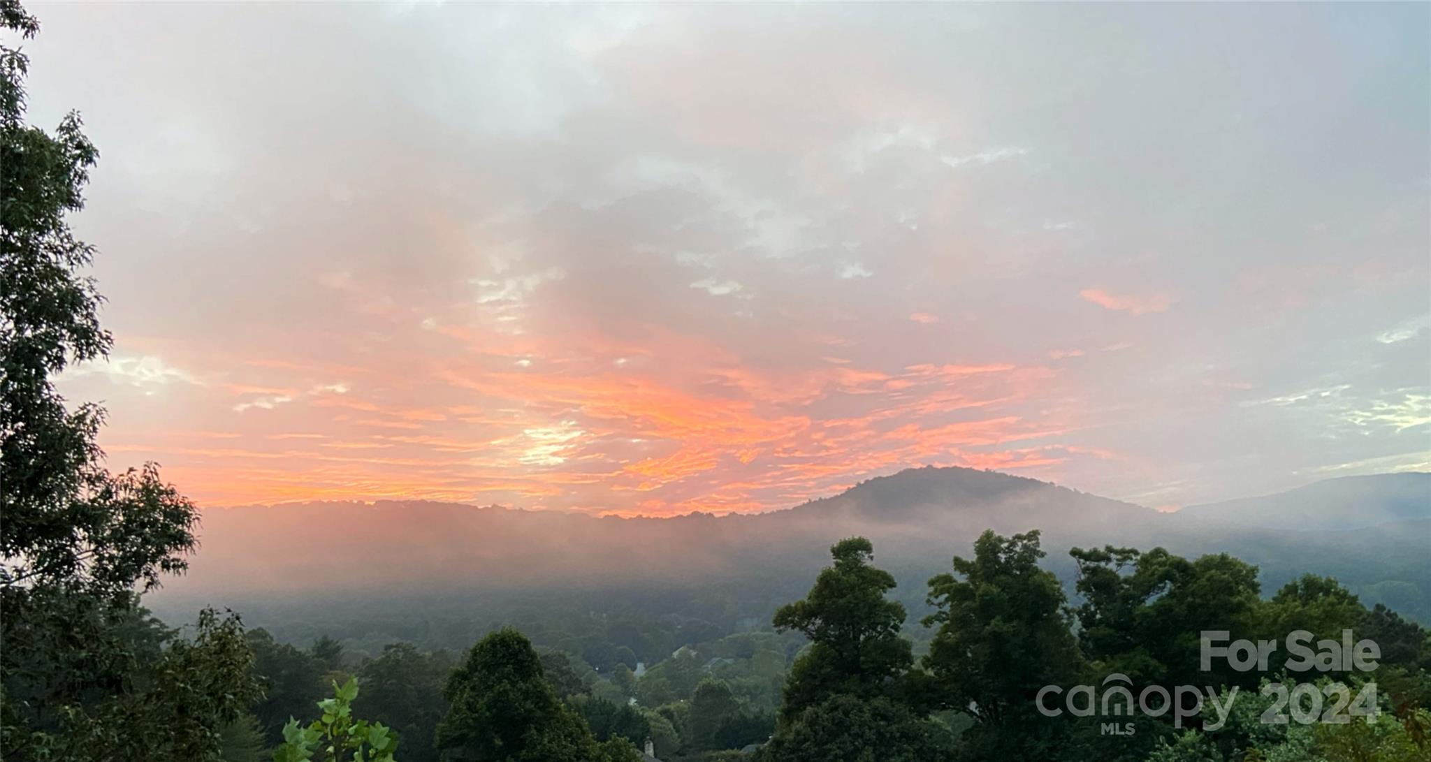 25 Huntington Chase Drive Asheville NC 28805