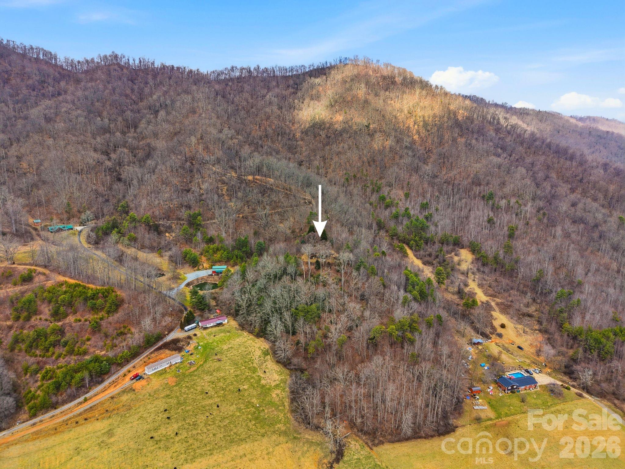 99 Margaret Drive Leicester NC 28748