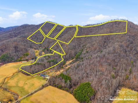 99 Margaret Drive Leicester NC 28748