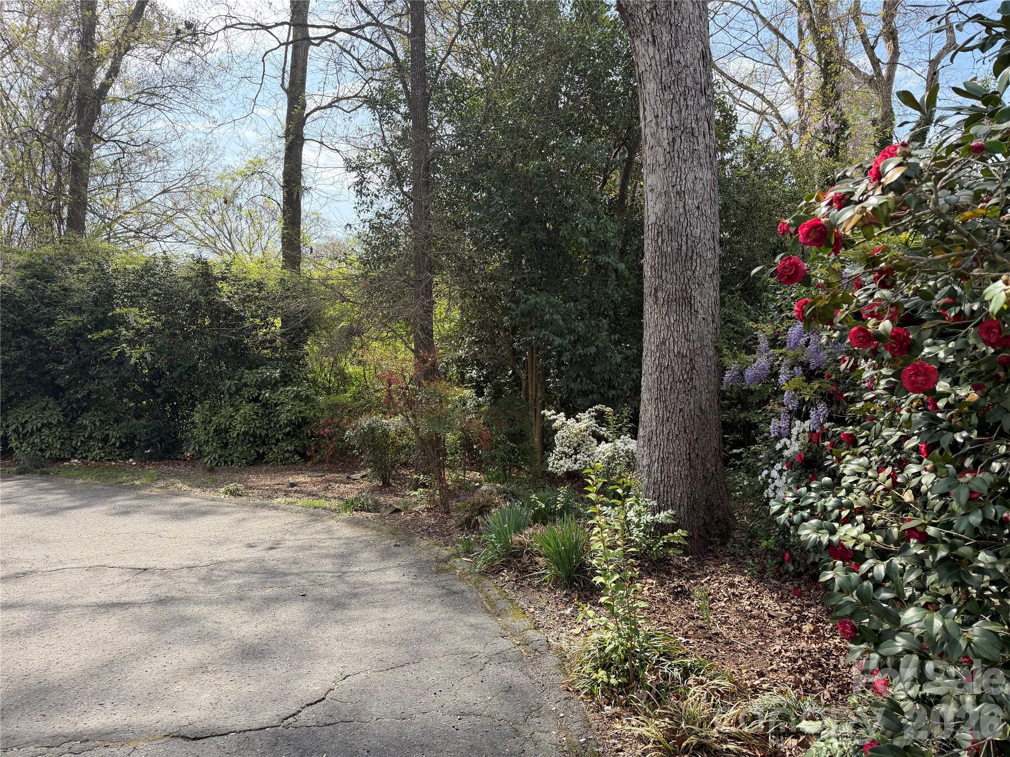 1631 Maple Avenue Albemarle NC 28001