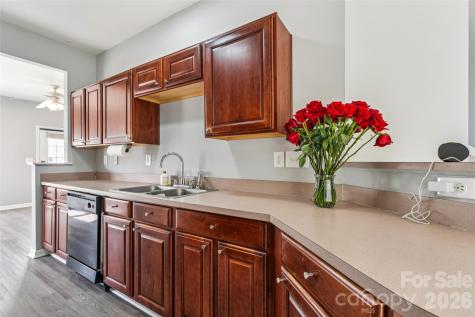 7125 Flying Scotsman Drive Charlotte NC 28213