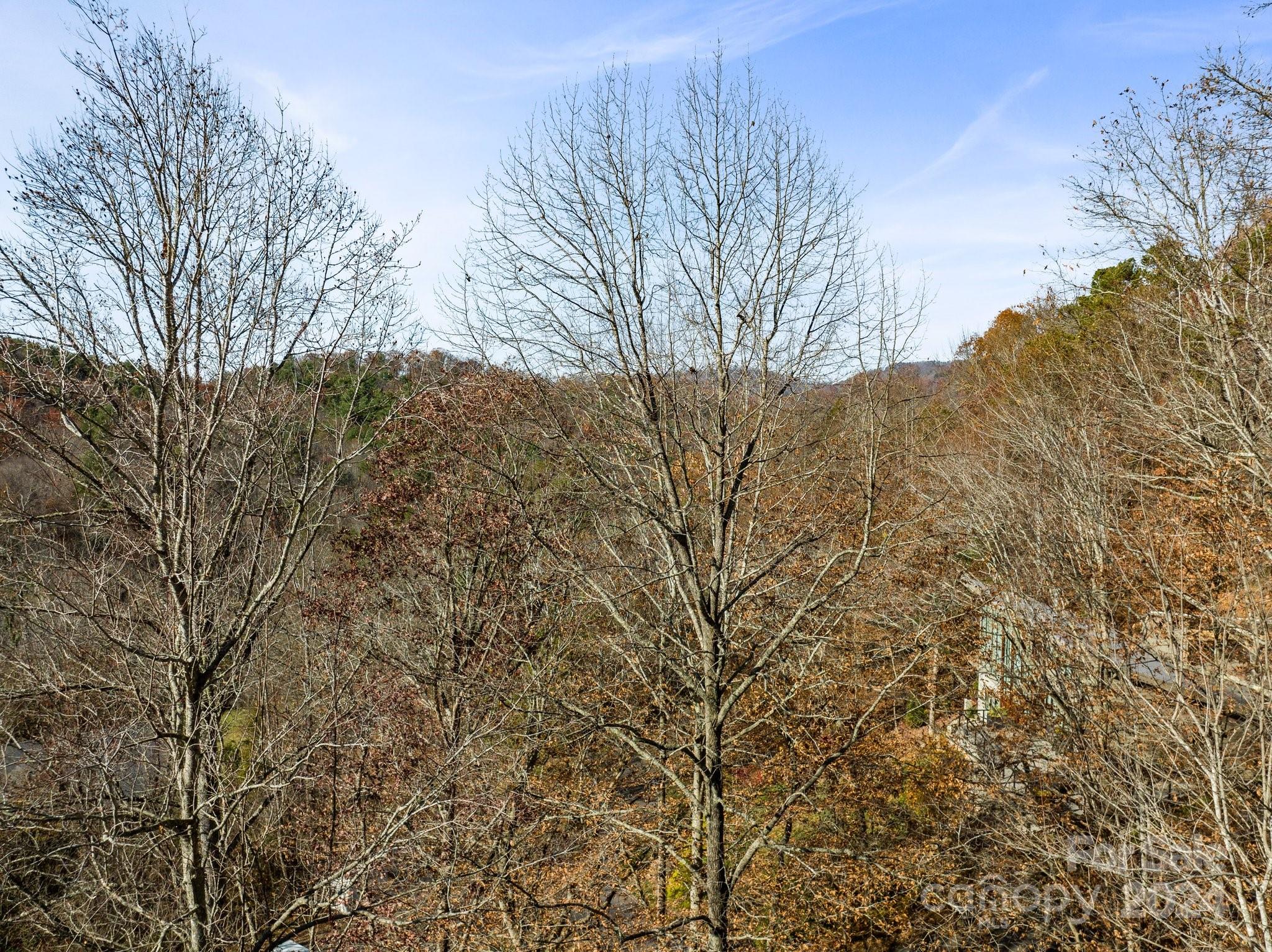 12 Hawk View Drive Asheville NC 28804