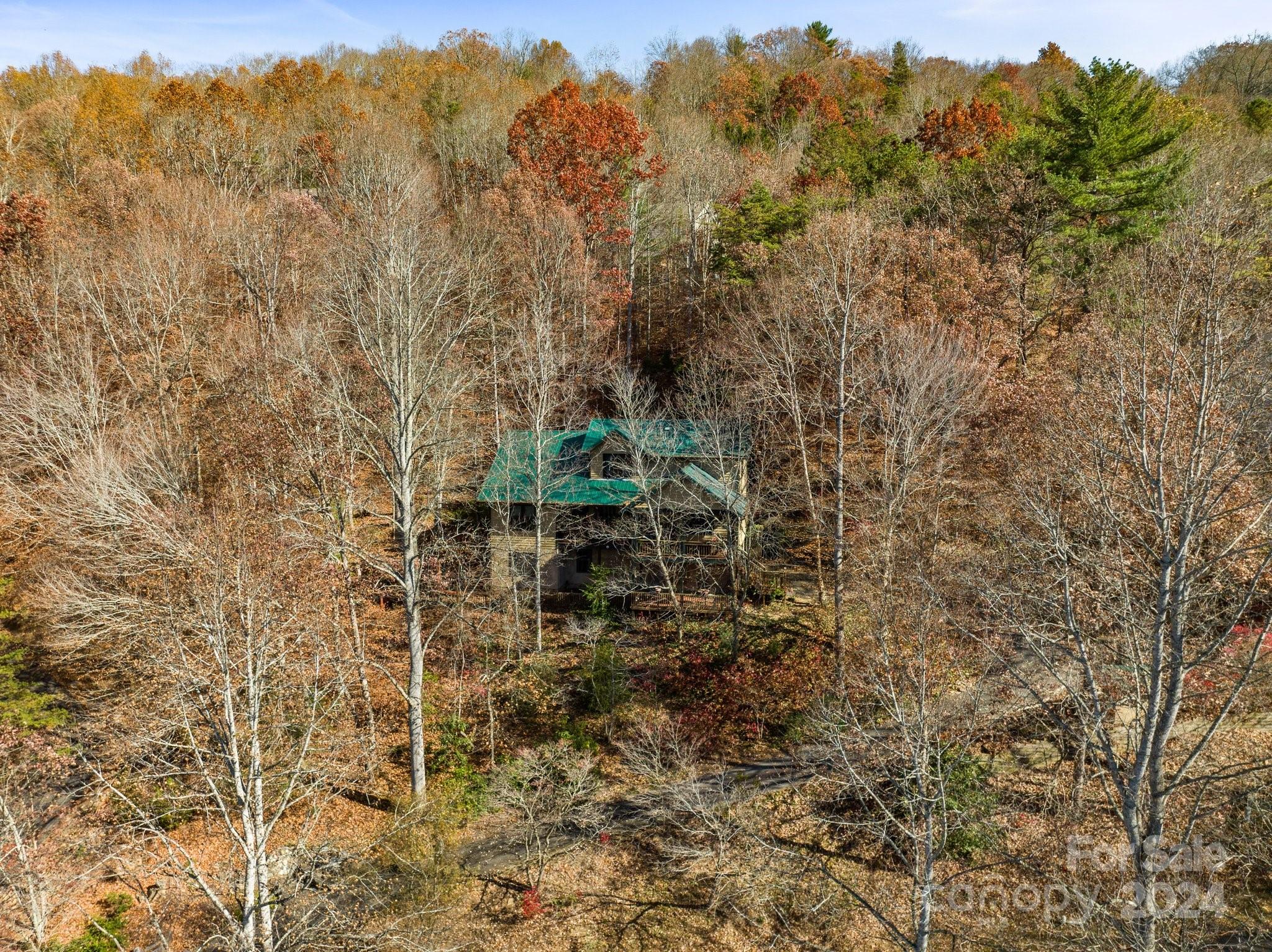 12 Hawk View Drive Asheville NC 28804