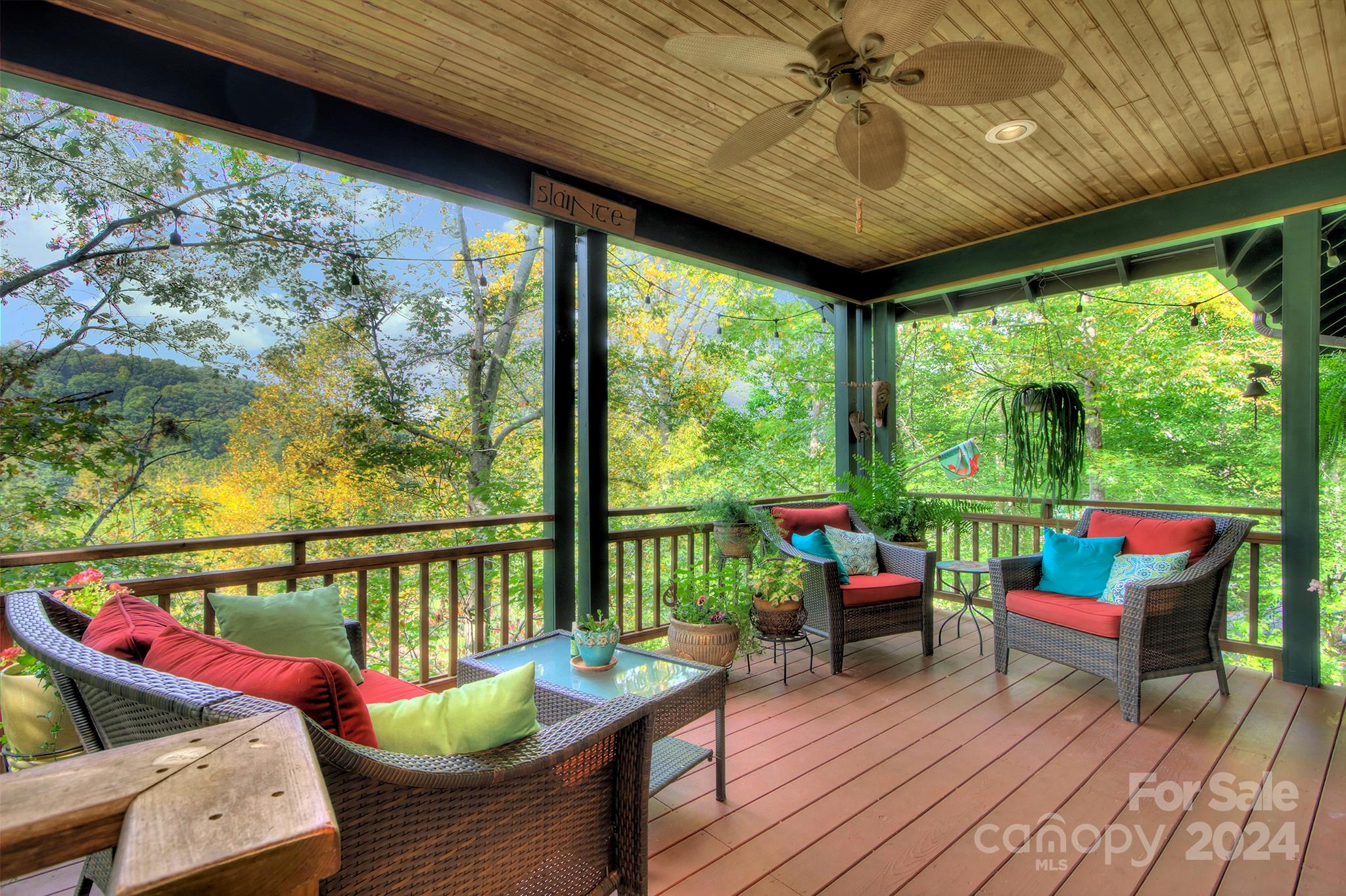 12 Hawk View Drive Asheville NC 28804