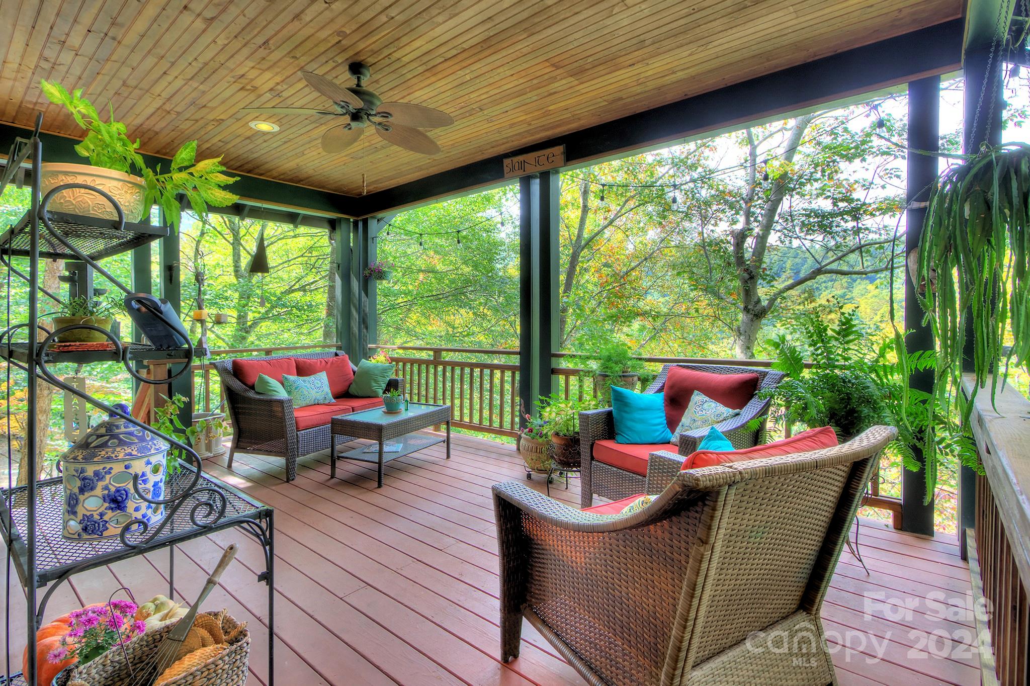 12 Hawk View Drive Asheville NC 28804