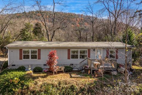 36 Lemon Creek Drive Candler NC 28715