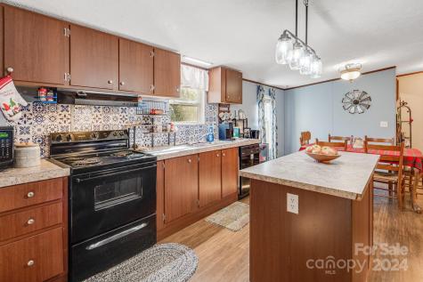 36 Lemon Creek Drive Candler NC 28715