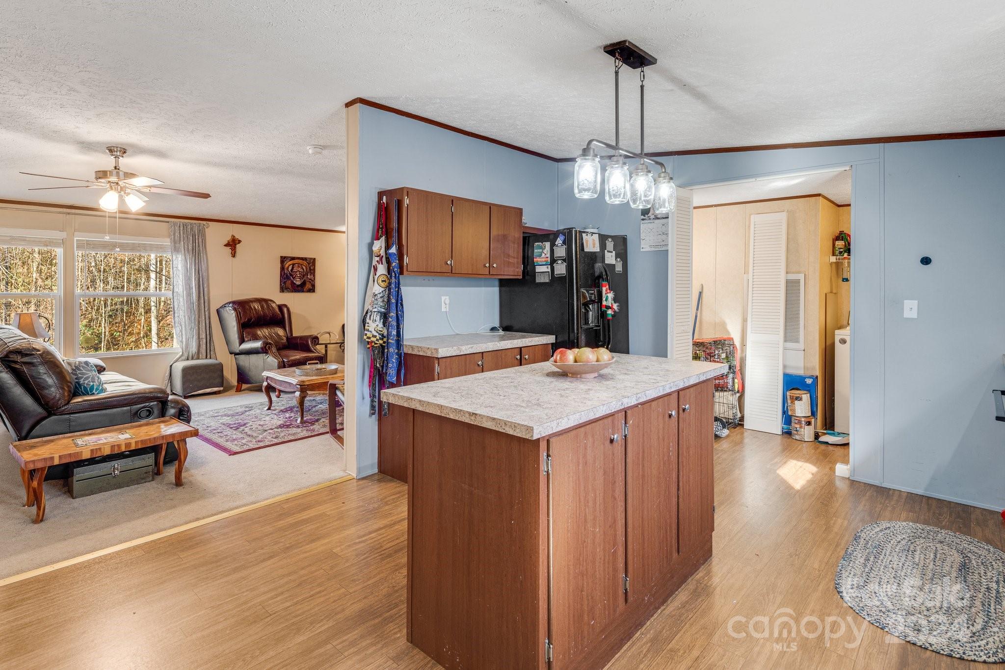 36 Lemon Creek Drive Candler NC 28715