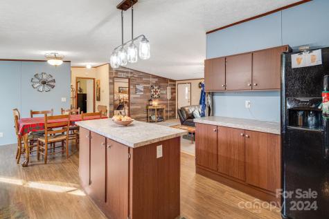 36 Lemon Creek Drive Candler NC 28715