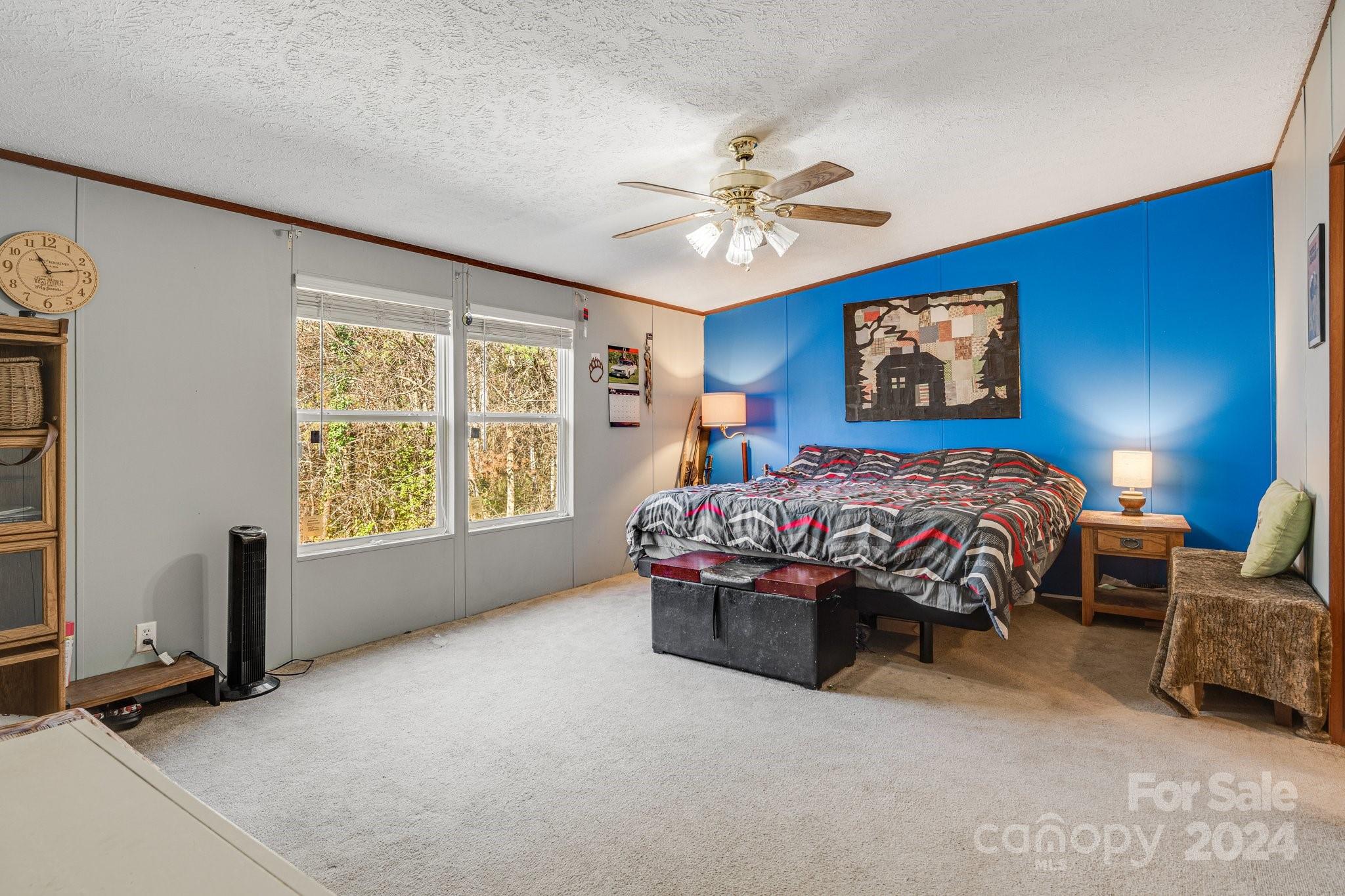 36 Lemon Creek Drive Candler NC 28715