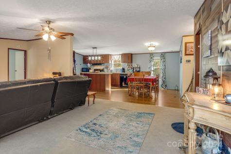 36 Lemon Creek Drive Candler NC 28715