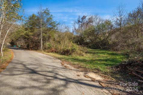 36 Lemon Creek Drive Candler NC 28715