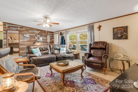 36 Lemon Creek Drive Candler NC 28715