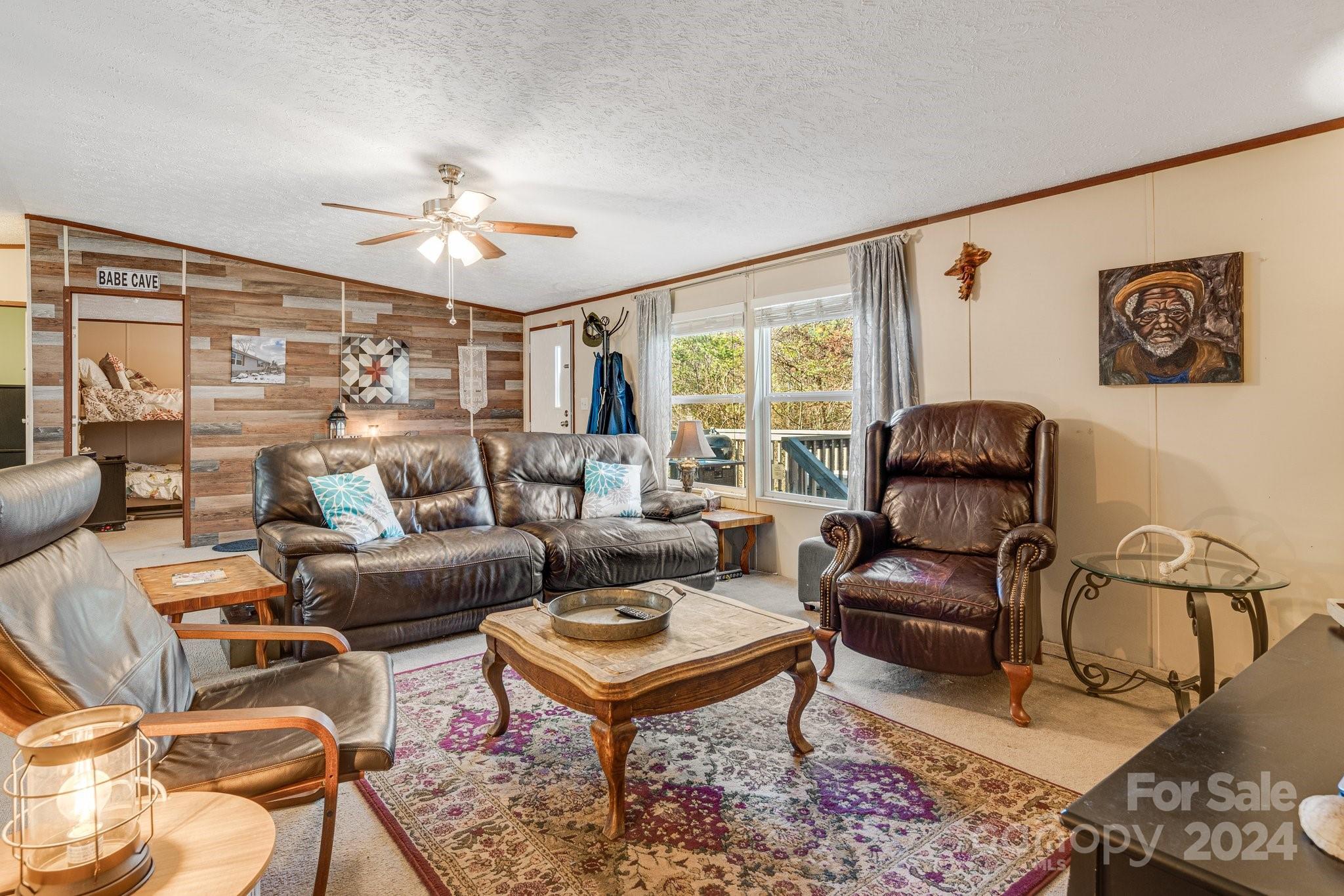 36 Lemon Creek Drive Candler NC 28715