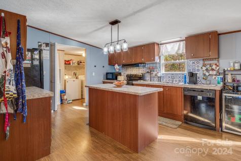 36 Lemon Creek Drive Candler NC 28715