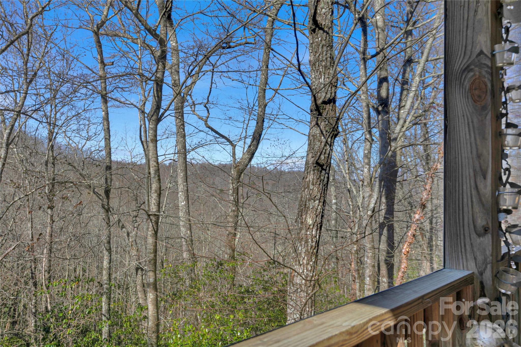 63 Wanei Court Brevard NC 28712