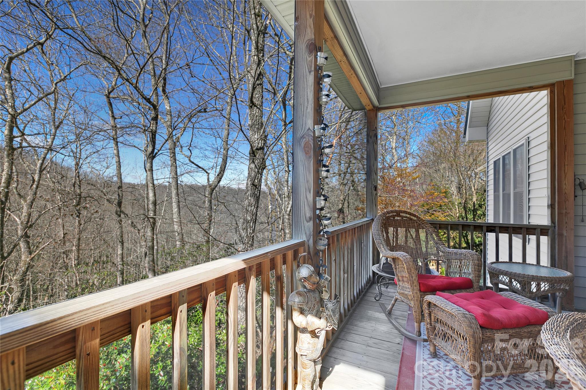 63 Wanei Court Brevard NC 28712
