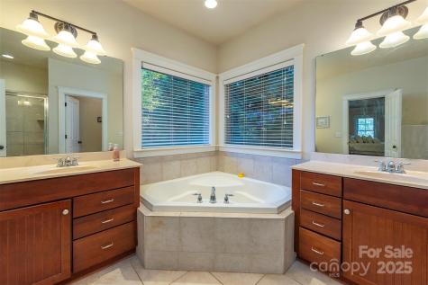 4 Yellow Owl Court Biltmore Lake NC 28715