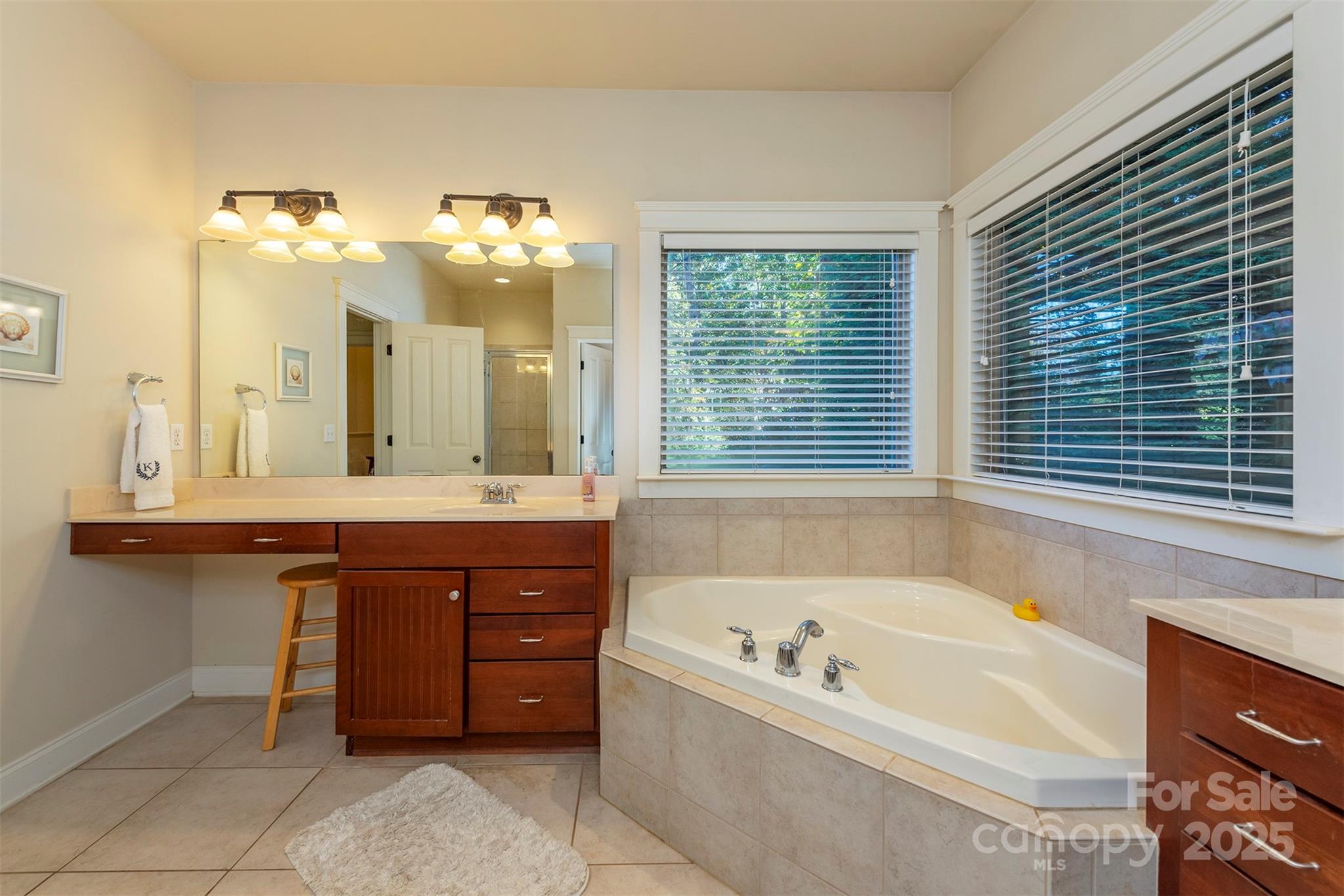 4 Yellow Owl Court Biltmore Lake NC 28715