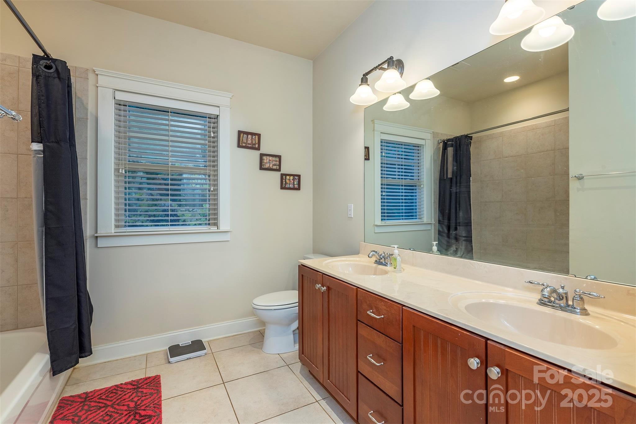 4 Yellow Owl Court Biltmore Lake NC 28715