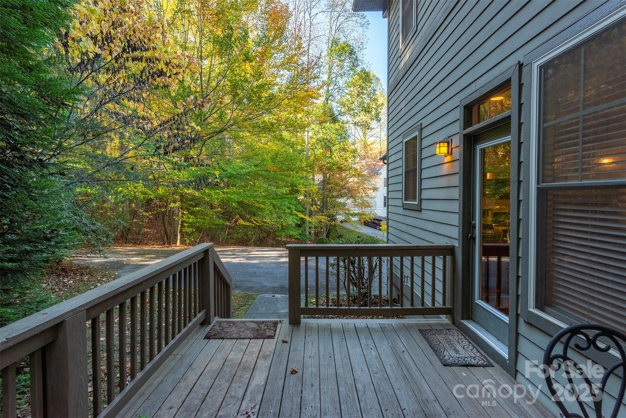 4 Yellow Owl Court Biltmore Lake NC 28715