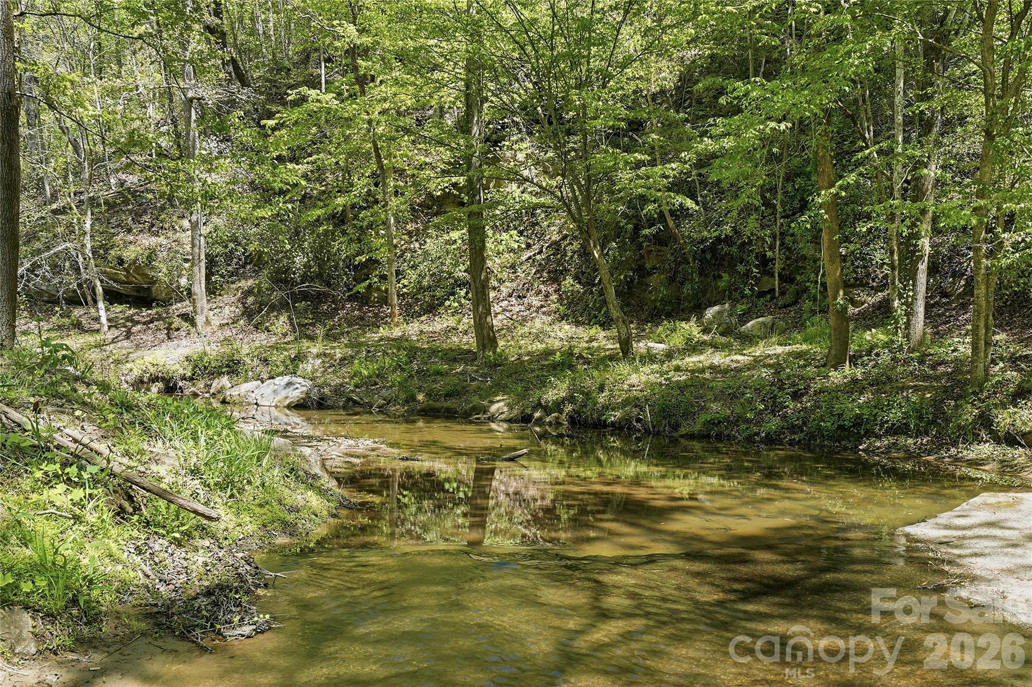 723 N Highland Road Mill Spring NC 28756
