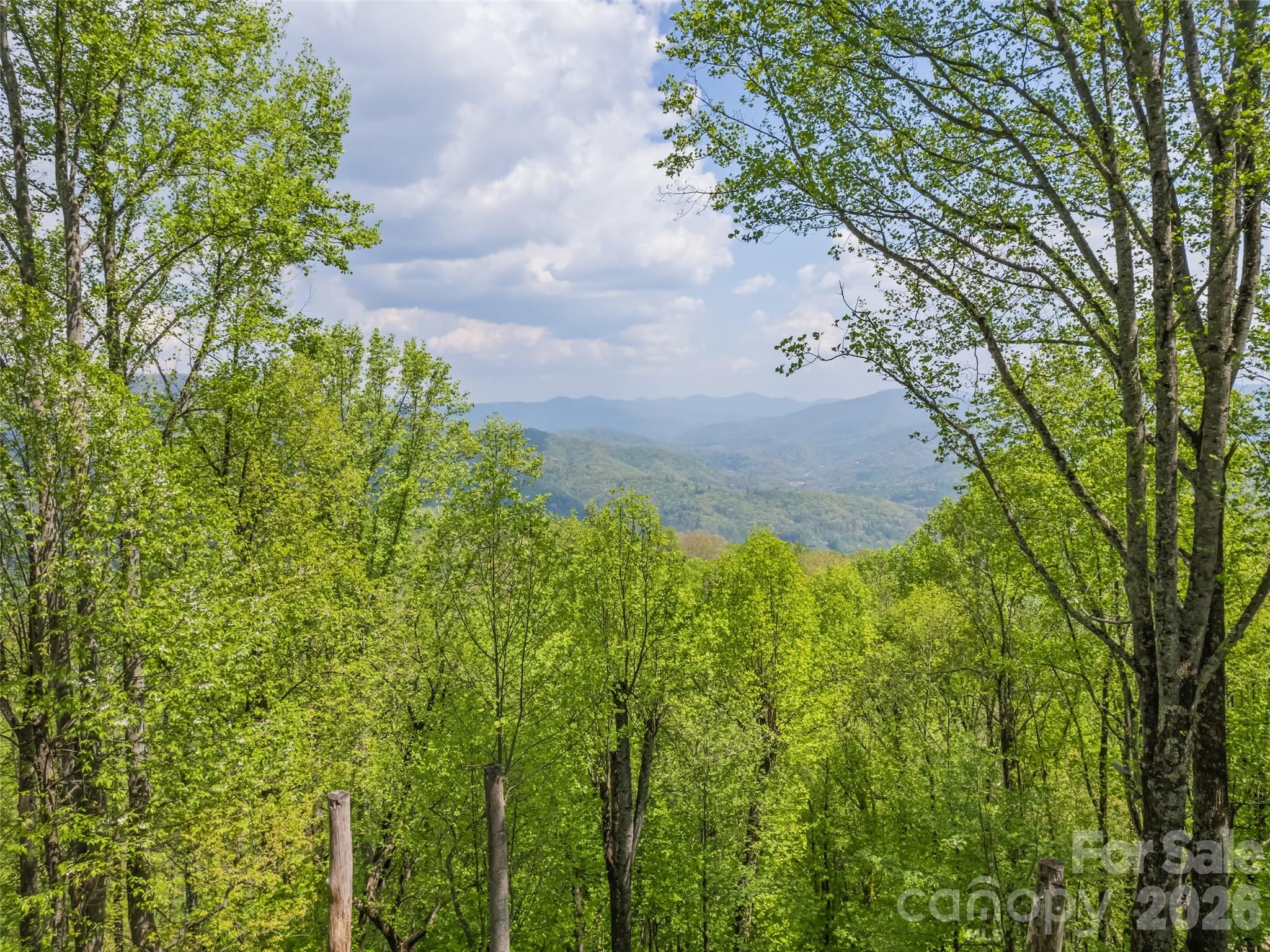 2863 Heath Peak Road Waynesville NC 28785