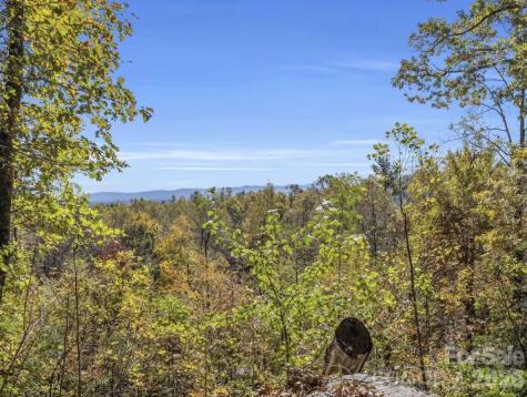 311 Charming Lane Hendersonville NC 28792