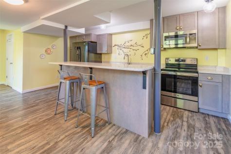 34 Vandalia Avenue Asheville NC 28806