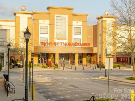 101 White Ash Drive E Asheville NC 28803