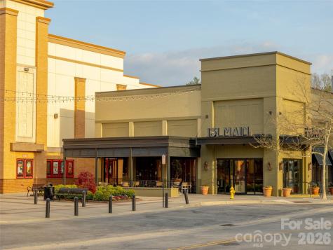 101 White Ash Drive E Asheville NC 28803