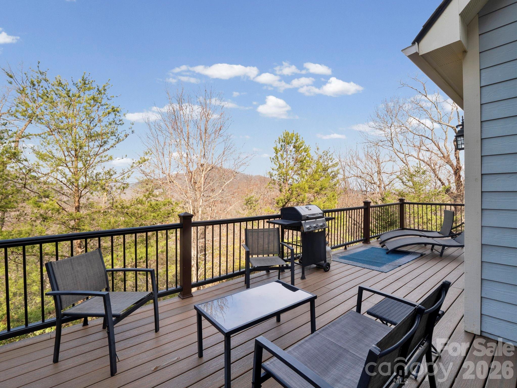 308 Bluebird Road Lake Lure NC 28746