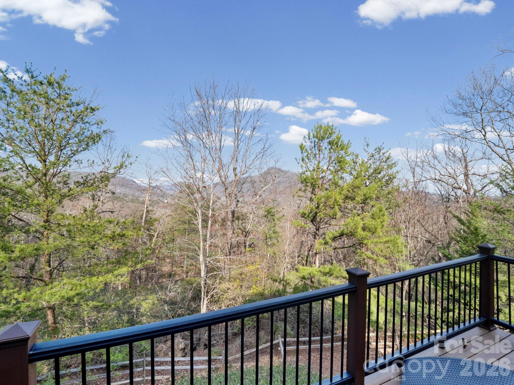 308 Bluebird Road Lake Lure NC 28746