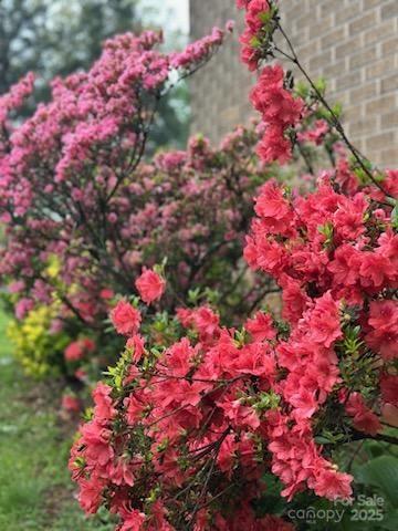 64 Marlowe Drive Asheville NC 28801