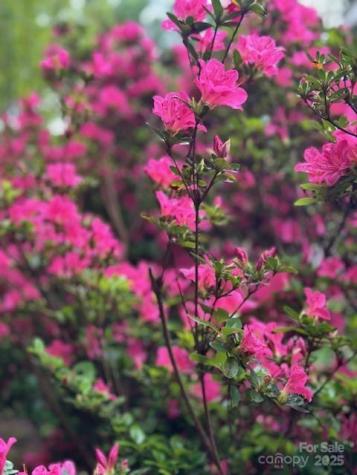 64 Marlowe Drive Asheville NC 28801