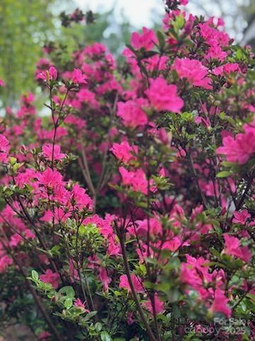 64 Marlowe Drive Asheville NC 28801