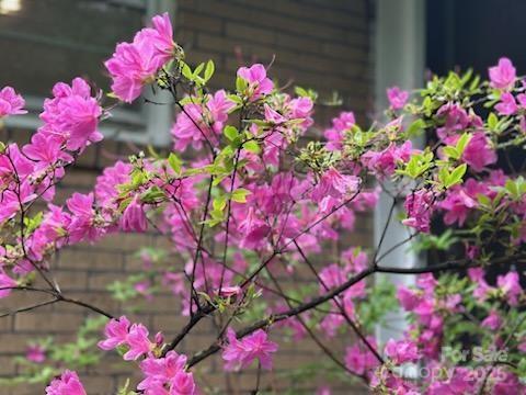 64 Marlowe Drive Asheville NC 28801